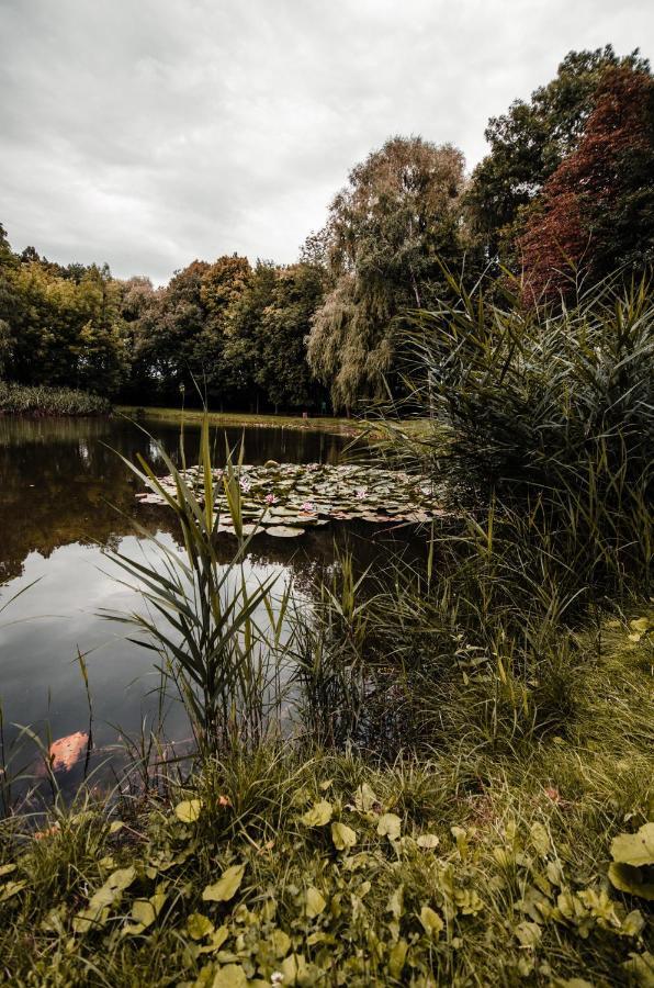 Apartament Deluxe Arcon Siemianowice Śląskie Exteriér fotografie