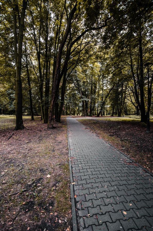 Apartament Deluxe Arcon Siemianowice Śląskie Exteriér fotografie