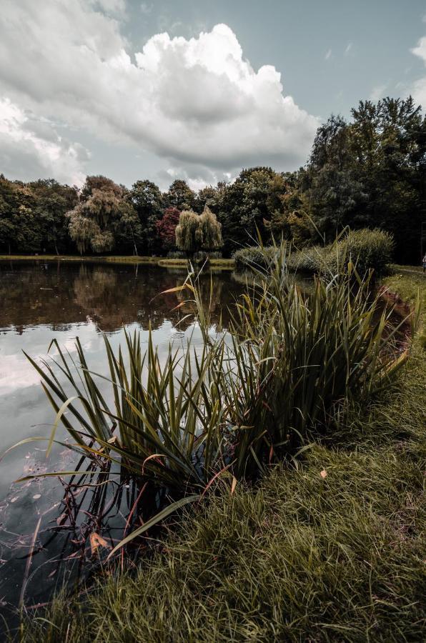 Apartament Deluxe Arcon Siemianowice Śląskie Exteriér fotografie
